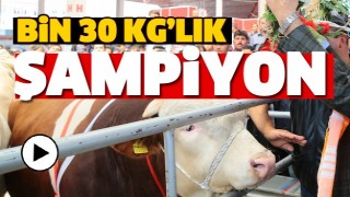 Şampiyonluk i&ccedil;ine doğdu