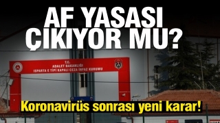 Son dakika haberi: Af yasası geliyor mu? Bakan'dan a&ccedil;ıklama...
