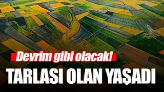 Tam bir devrim olacak! Tarlası olanlar yaşadı