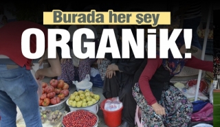 Tarladan sofranıza gelen lezzet Isparta K&ouml;yl&uuml; Pazarı