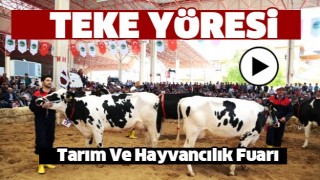 Teke Y&ouml;resi 3. Tarım Ve Hayvancılık Fuarı