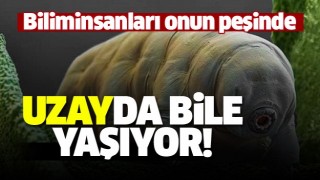 T&Uuml;RKİYE BİLİM HABERLERİ 'UZAYDA BİLE YAŞIYOR'