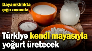 Türkiye’nin Yoğurt Üretiminde Yerli Atılımı: Doğal Maya ile Dayanıklılık Artacak