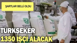 T&uuml;rkşeker 1350 Ge&ccedil;ici İş&ccedil;i Alacak: Başvuru Şartları Belli Oldu