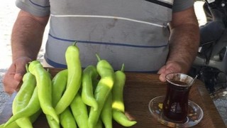 &Uuml;reticiden: "3 kilo bibere, 1 bardak &ccedil;ay" eleştirisi  