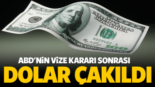 VİZE HABER GELDİ! DOLAR &Ccedil;AKILDI!