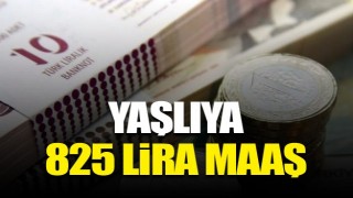 ​Yaşlıya 825 lira maaş