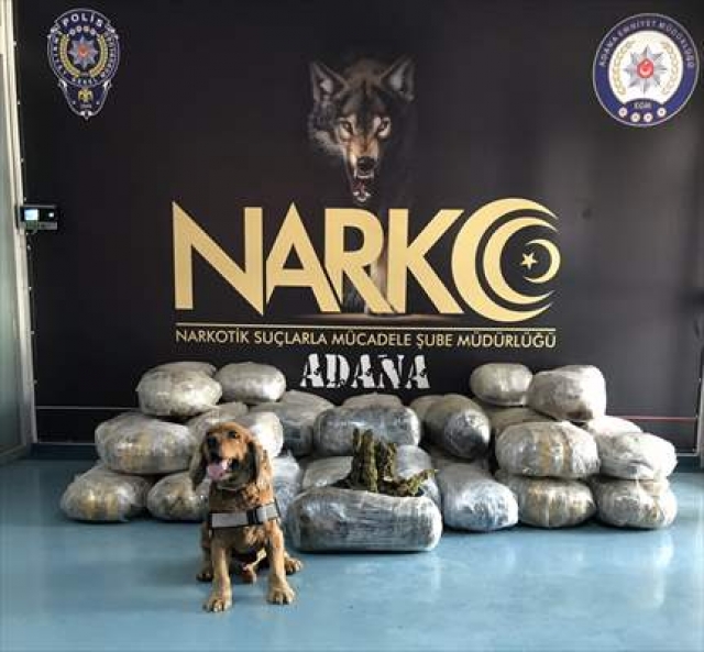 Tırda 250 kilogram 600 gram esrar ele geçirildi