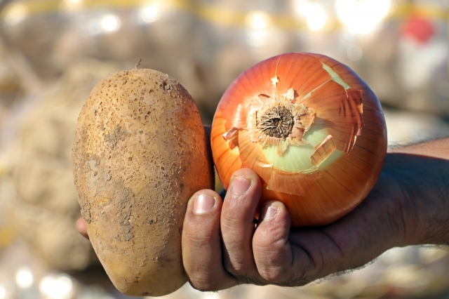 Tüketiciye patates ve soğandan bir kötü haber daha 