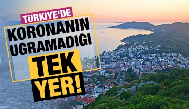 Tükiye'de koronavirüsün uğramadığı tek yer!