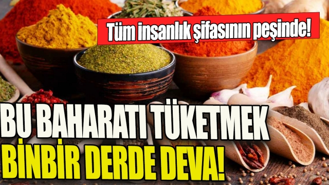 Tüm İnsanlık Şifasının Peşinde