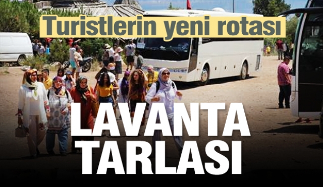 ​Turistlerin yeni rotası: Sagalassos ve lavanta tarlası