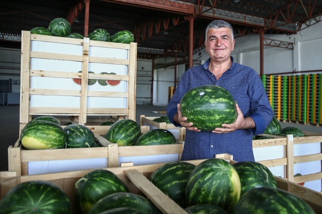 Türkiye, karpuz ihracatına hızlı başladı