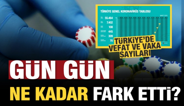 Türkiye'de gün gün koronavirüs vaka ve ölüm sayıları