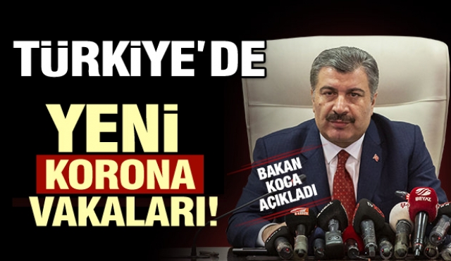 Türkiye'de yeni koronavirüs vakaları hakkında açıklama...