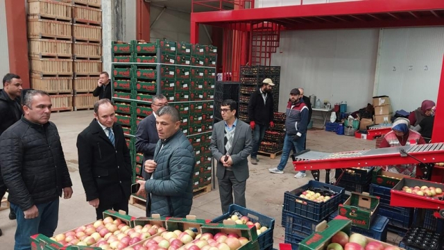 Türkiye'de yetiştirilen her dört elmadan biri Isparta'da üretiliyor