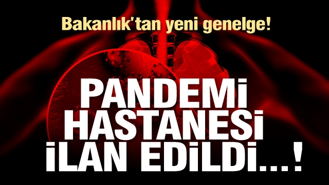 Türkiye'deki özel ve vakıf hastaneleri salgın hastanesi ilan edildi