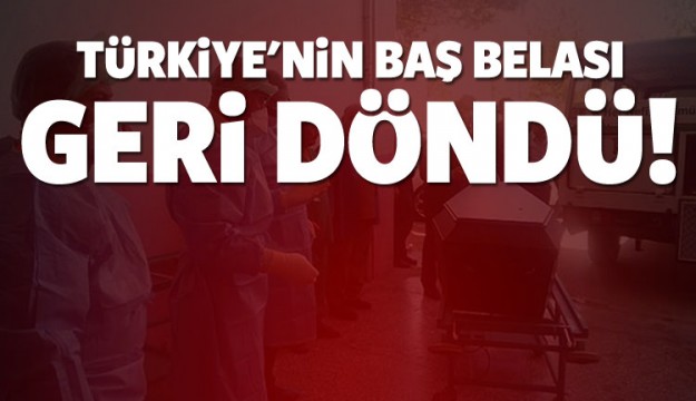 Türkiye'nin baş belası geri döndü!