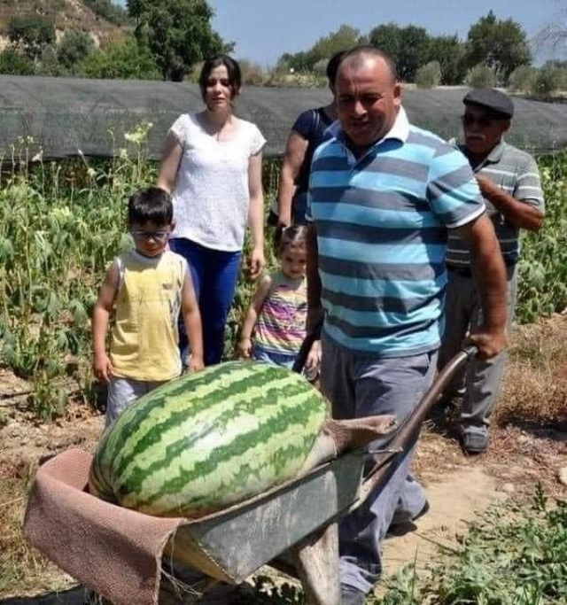 Türkiye'nin en büyük karpuzu Antalya'da