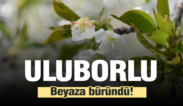 Uluborlu Beyaza Büründü