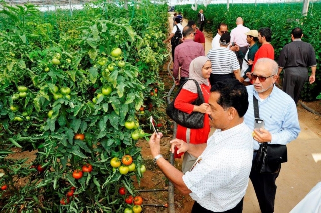 Uluslararası Yaş Sebze ve Meyve İhracatçıları zirvesi Serik’te başlıyor 