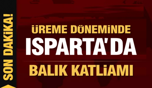 Üreme döneminde Isparta'da balık katliamı