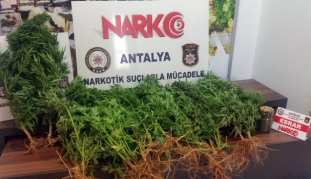 Uyuşturucu tacirlerine hapis cezası 