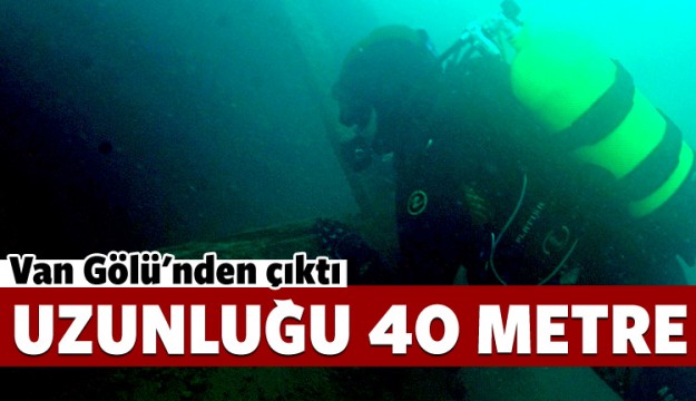 Van Gölü'nden çıktı! Uzunluğu 40 metre
