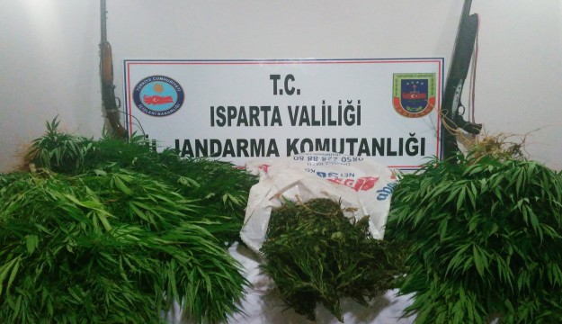 Yalvaç’ta yasa dışı kenevir yetiştiriciliğine jandarma baskını: 1 gözaltı