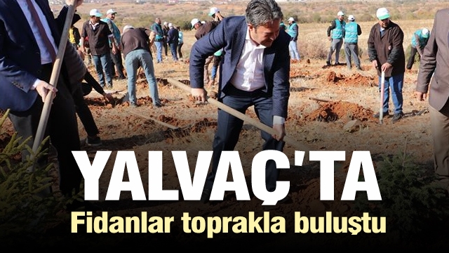 Yalvaç'ta Fidanlar Toprakla Buluştu