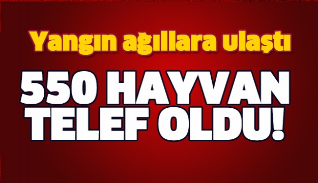 YANGIN AĞILLARA ULAŞTI