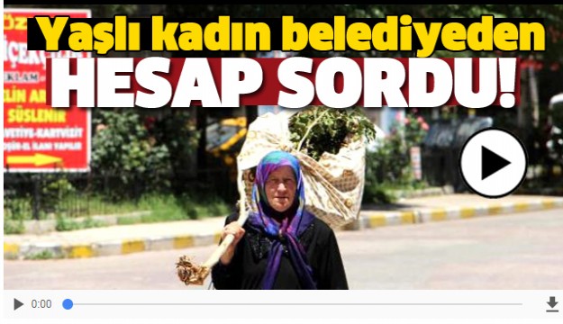 YAŞLI KADIN KESİLEN AĞAÇ İÇİN BELEDİYEDEN HESAP SORDU