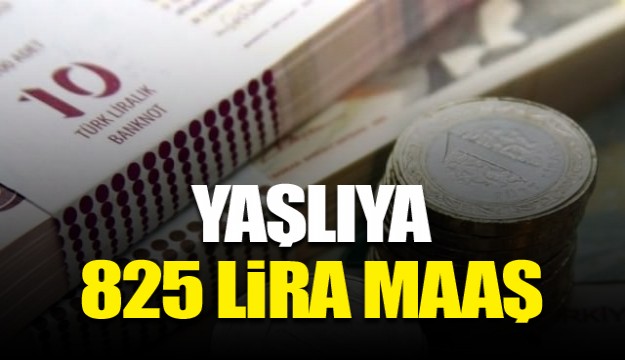 ​Yaşlıya 825 lira maaş