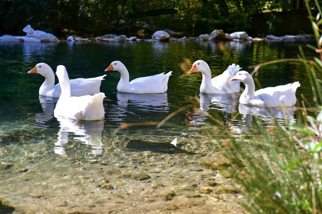 Yazılı Kanyon Tabiat Parkı