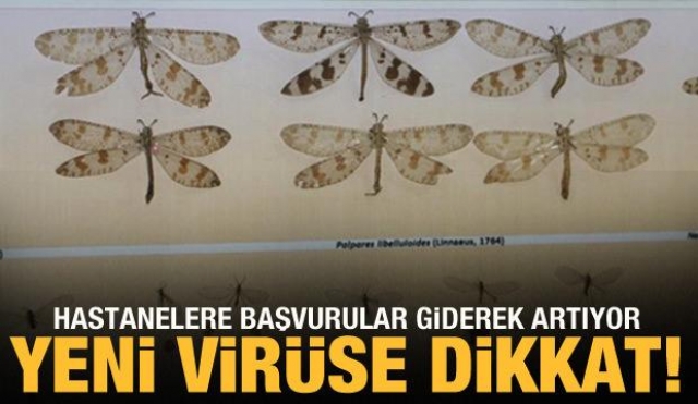YENİ VİRÜSE DİKKAT ÇEKİLDİ: TÜRKİYE VE DÜN GÜNDEMİNDEN SON HABERLER