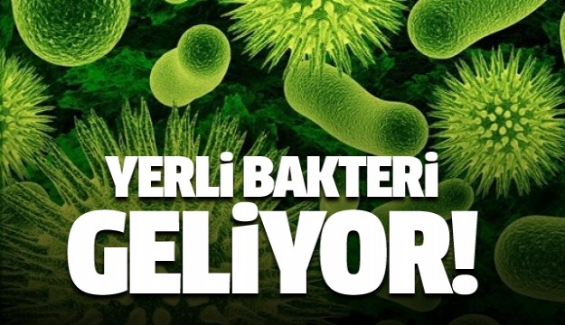 Yerli bakteri geliyor