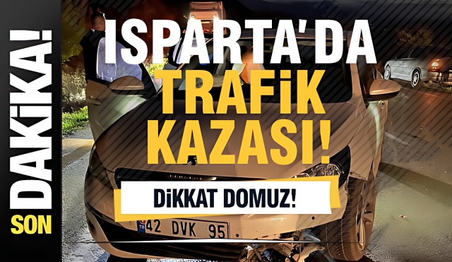 Yola Aniden Çıkan Domuz Trafik Kazasına Neden Oldu