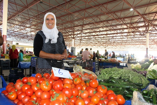 Zam şampiyonu domatesin fiyatı ilk kez düştü 