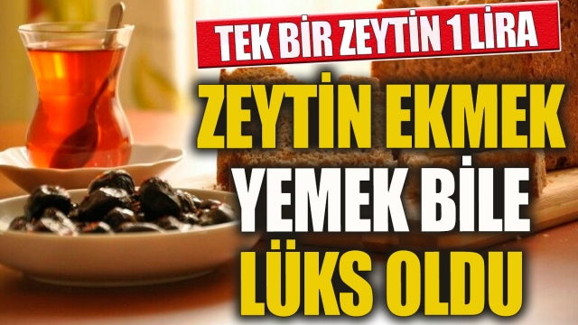 Zeytin Fiyatları Yükseldi: 1 Zeytin 1 Lira!