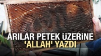 Arılar petek üzerine 'Allah' yazdı